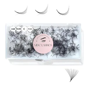 500 Promades Eyelash Fans| 5D-20D, 0.03-0.05-0.07 Thickness, C/CC/D Curls, 8-18mm| Volume Lash Extensions Premade Lash Fans Pro Pre Made False Eyelashes Pestañas Pelo A Pelo(6D-0.07-C-12)