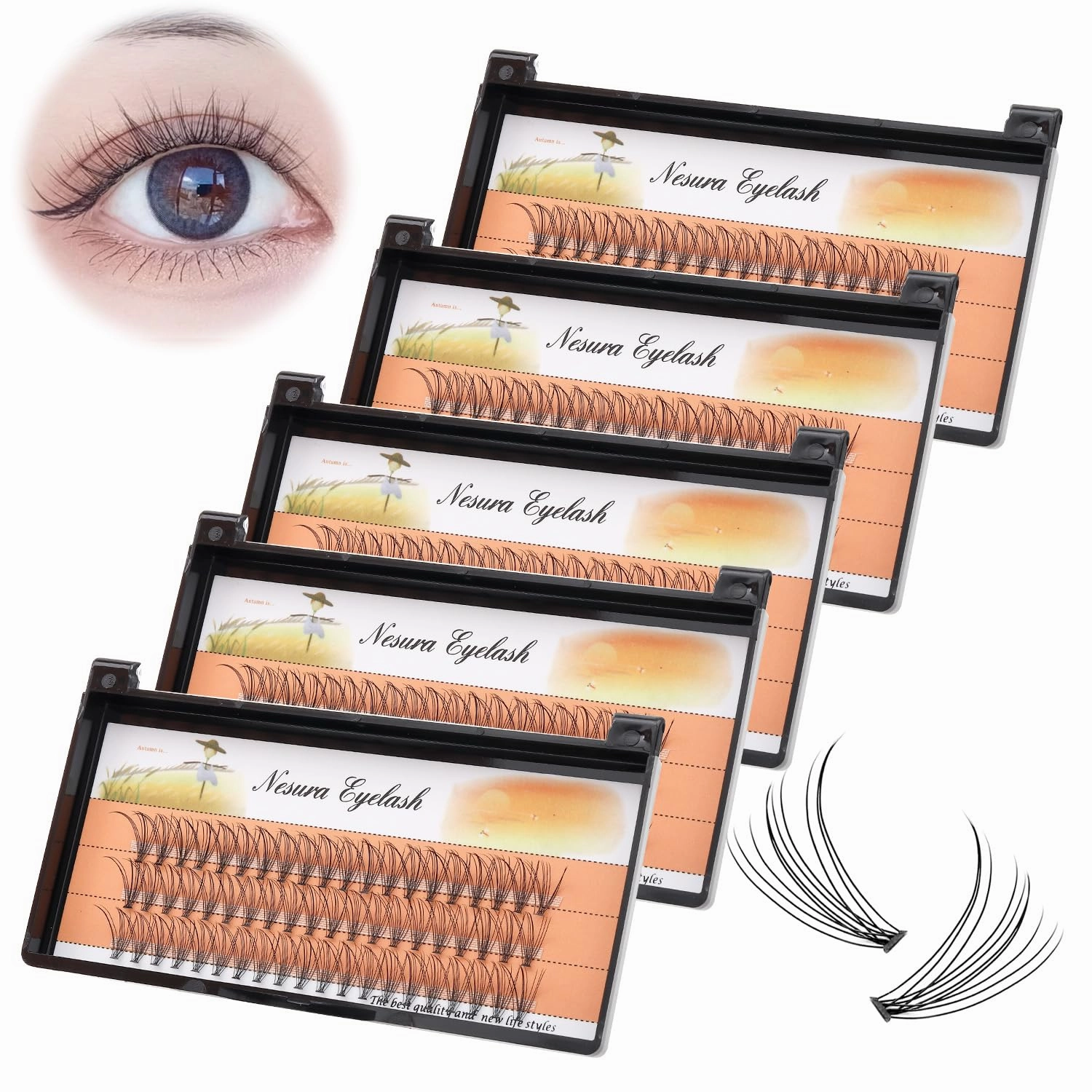 BODERMINCER 10 Root 60pcs 8-10-12-14-16mm Mixed Black Handmade False Eyelashes Natural Long Individual Eyelashes Extension Fake Lashes Makeup Beauty Cosmetic (5 PACKS-9MM)