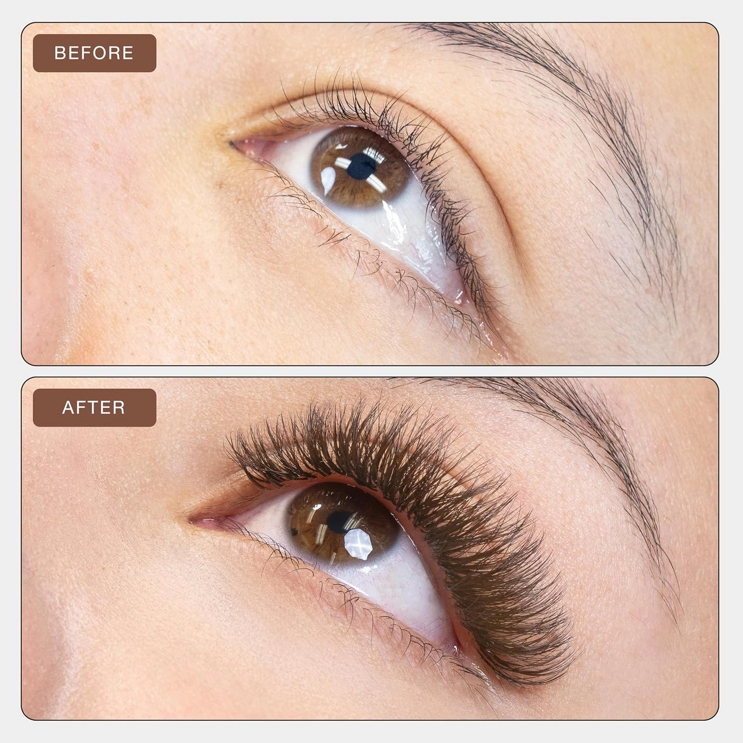 Curacoro Brown Fairy Volume Lash Extensions 3D, 0.07mm Thickness, C CC D Curl, 8-15mm Length Mixed Tray, Premium Brown Individual Eyelashes Tray, Professional Supplies Use