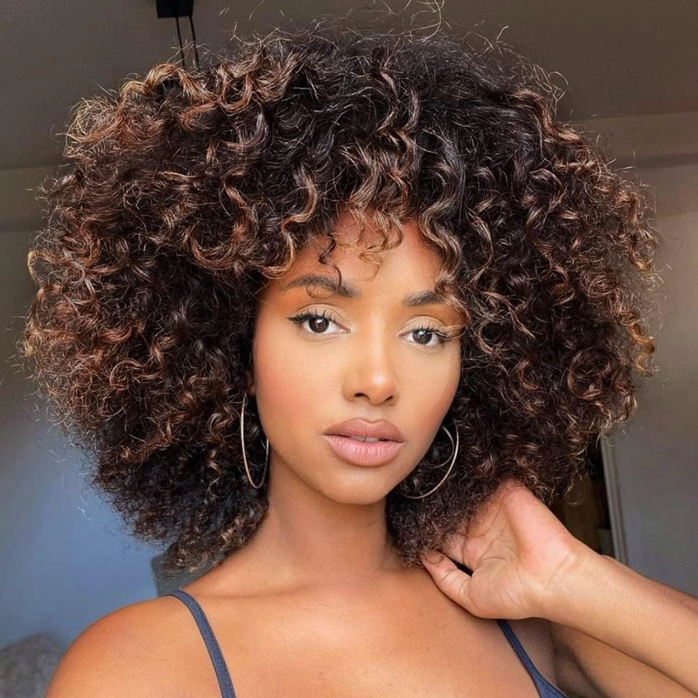 Curly Wigs for Women, 14 Inches Soft Curly Afro Wigs With Bangs, Synthetic Ombre Brown Curly Wigs, Curly Full Wig for Women(2T33)