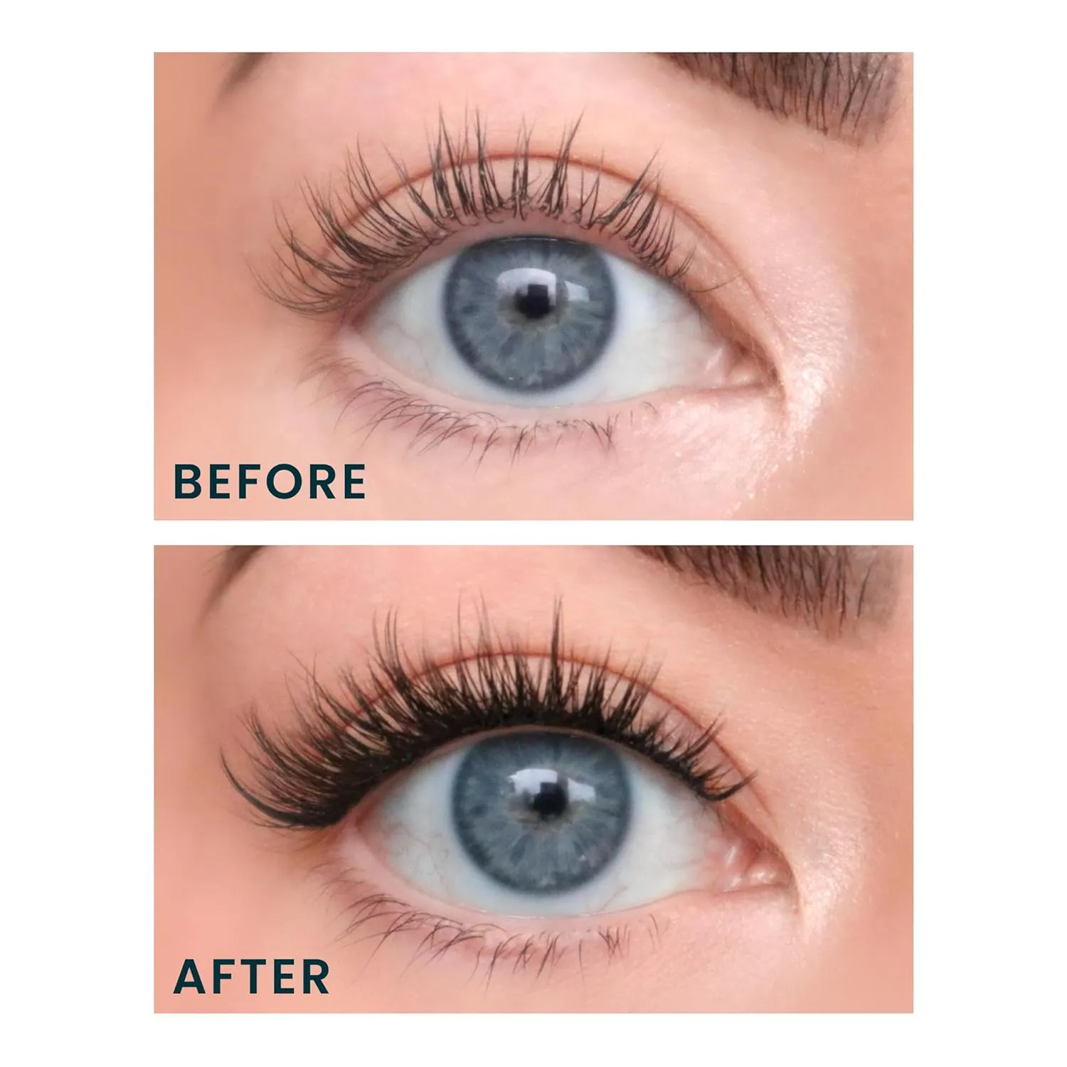 FlutterHabit Bestie Ready Set Starter Kit, DIY Eyelash Extensions, Lash Clusters for Women, Professional Quality At Home Eyelash Extension Kit, Natural False Lashes, 3 Lash Sets, Lash Glue Included