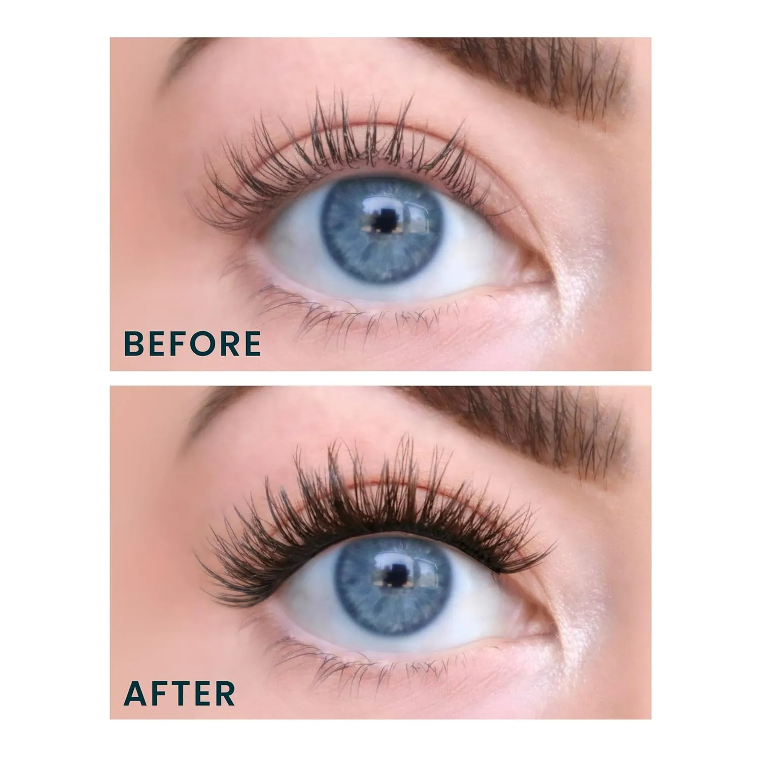 FlutterHabit Water Lily Lash Clusters for Women, Salon Quality At Home Eyelashes Extension Kit, 6 Lash Sets, No Lash Glue Included