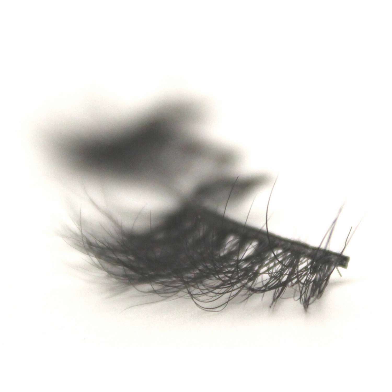 Khadija Lashes