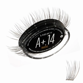 Lashify Amplify Plus  14mm Eyelash Extensions Refill in Truffle Color, Easy DIY False Lashes for the Most Delicate, Natural and Long Lasting Look