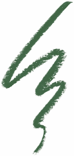 NYX PROFESSIONAL MAKEUP Epic Smoke Liner, Vegan Smokey Eyeliner - Sage Sparks (Hunter Green) (Pack of 2)