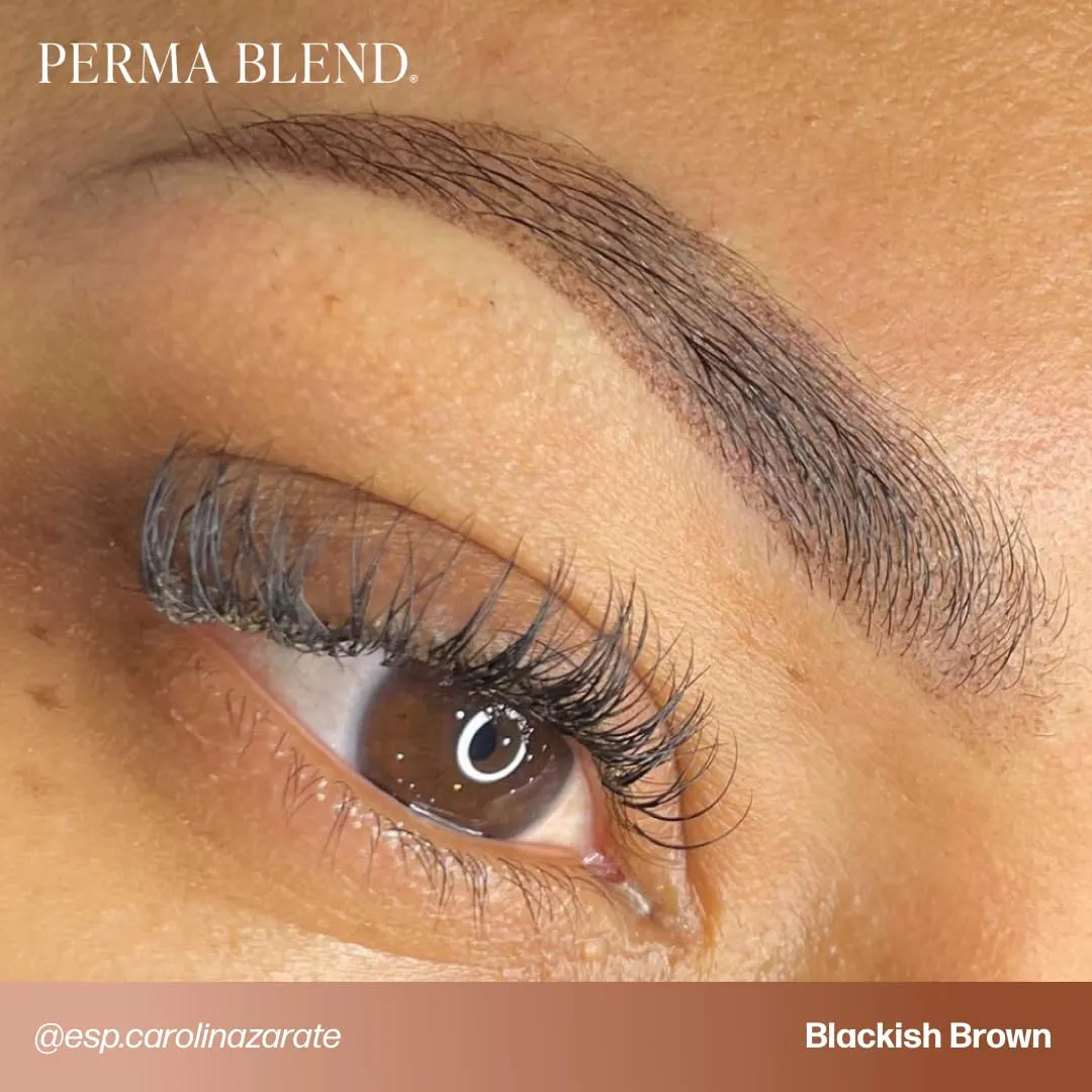 Perma Blend Blackish Brown Tattoo Ink - Cool-Toned PMU Pigment for Eyeliner and Brow Enhancements, Gamma-Sterilized, Safe for Fitzpatrick 4–6 - Vegan Tattoo Supplies & Equipment for Microblading