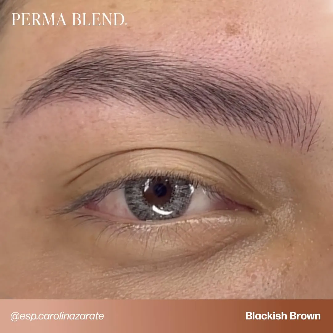 Perma Blend Blackish Brown Tattoo Ink - Cool-Toned PMU Pigment for Eyeliner and Brow Enhancements, Gamma-Sterilized, Safe for Fitzpatrick 4–6 - Vegan Tattoo Supplies & Equipment for Microblading