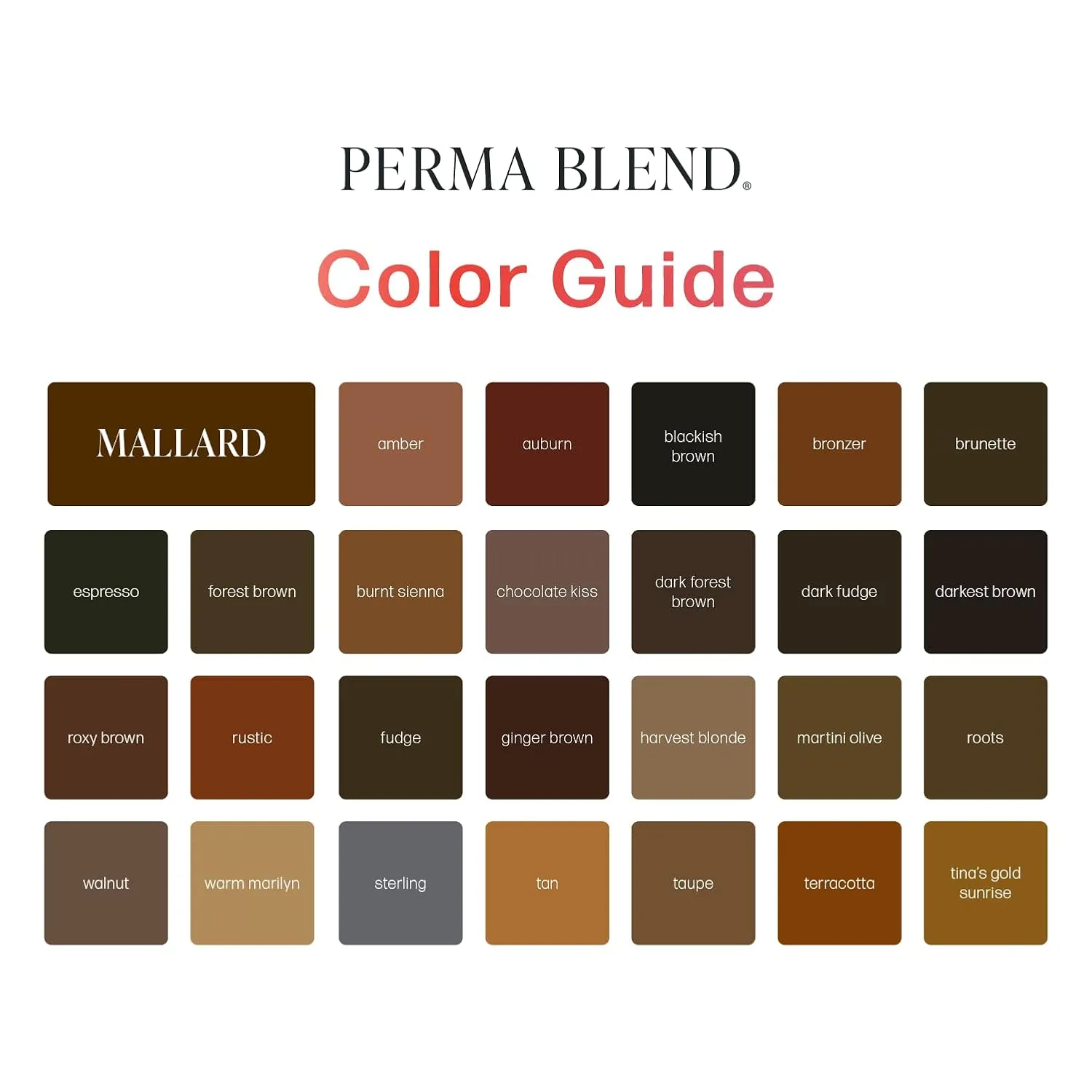 Perma Blend Espresso Brown Tattoo Ink - Professional Microblading Ink for Permanent Makeup - Cool Medium/Dark Brown Permanent Pigment - Vegan (0.5 oz)