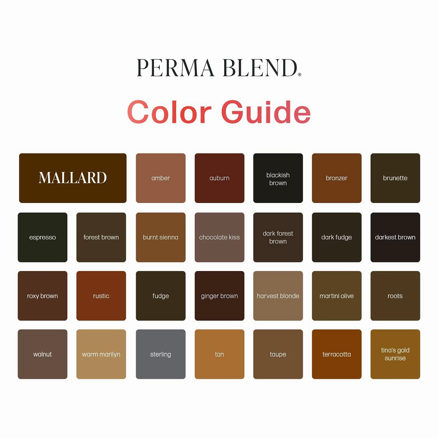Perma Blend - Black Beauty - Microblading Ink for Permanent Eyeliner - Professional Tattoo Ink - Black Tattoo Ink Makeup - Vegan (0.5 oz)