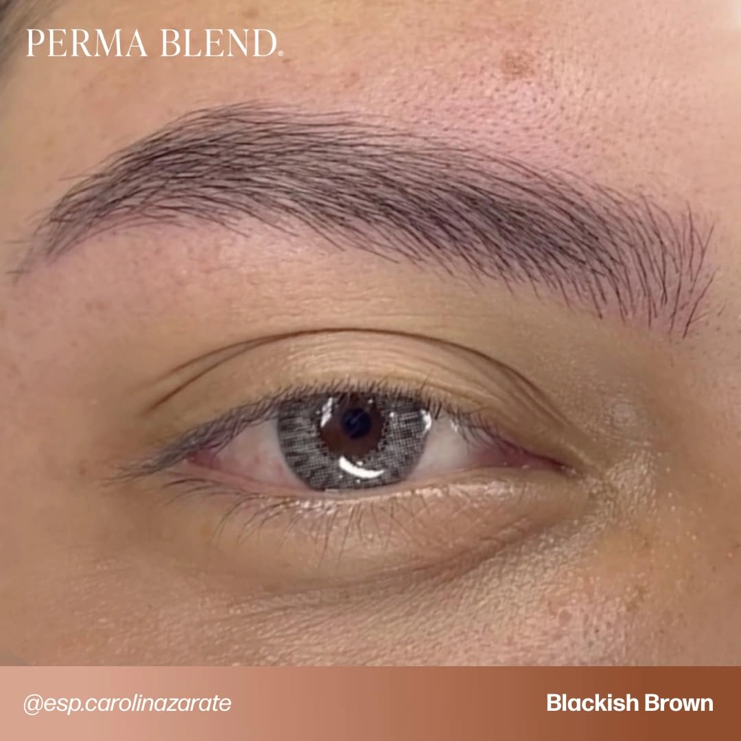 Perma Blend Blackish Brown Tattoo Ink - Cool-Toned PMU Pigment for Eyeliner and Brow Enhancements, Gamma-Sterilized, Safe for Fitzpatrick 4–6 - Vegan Tattoo Supplies & Equipment for Microblading