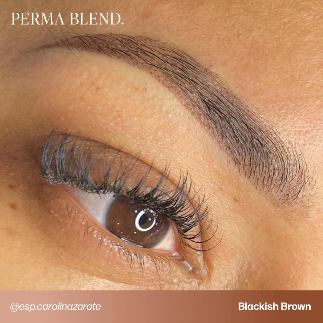Perma Blend Blackish Brown Tattoo Ink - Cool-Toned PMU Pigment for Eyeliner and Brow Enhancements, Gamma-Sterilized, Safe for Fitzpatrick 4–6 - Vegan Tattoo Supplies & Equipment for Microblading