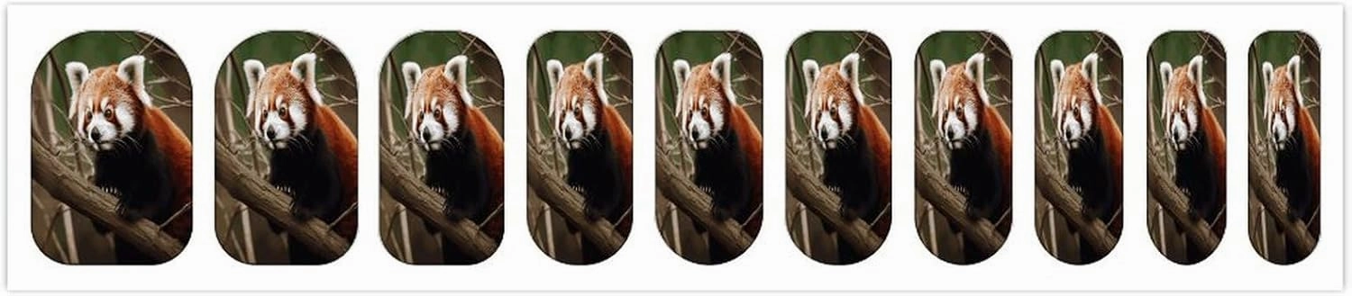 Red Panda on Tree Branch Nail Stickers Manicure Decoration with 5 Boxes Full Wrap Self-Adhesive Nail Strips Easy to Apply & Remove Long Lasting Polish Strips for Women Gifts