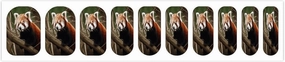 Red Panda on Tree Branch Nail Stickers Manicure Decoration with 5 Boxes Full Wrap Self-Adhesive Nail Strips Easy to Apply & Remove Long Lasting Polish Strips for Women Gifts