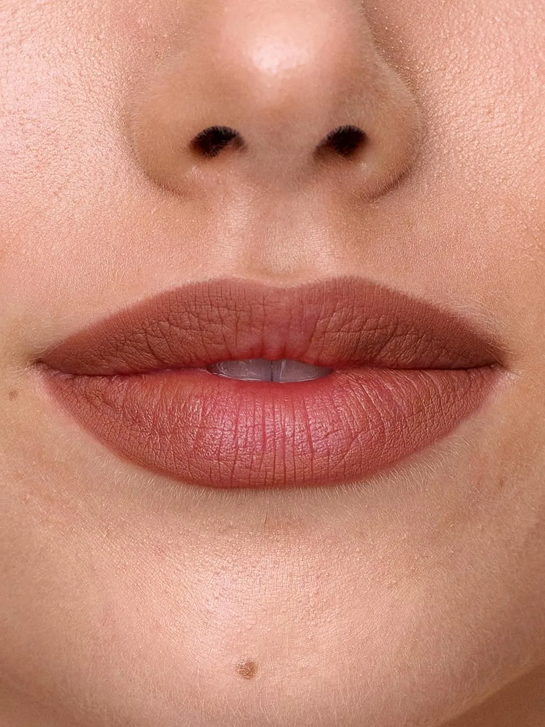 SWEED - Lip Liner Pencil | Color-Rich, Smudge   Feathering-Free | Jojoba Seed Oil to Moisturize   Nourish | Vegan, Cruelty-Free, Clean Beauty (Rose Thorn)