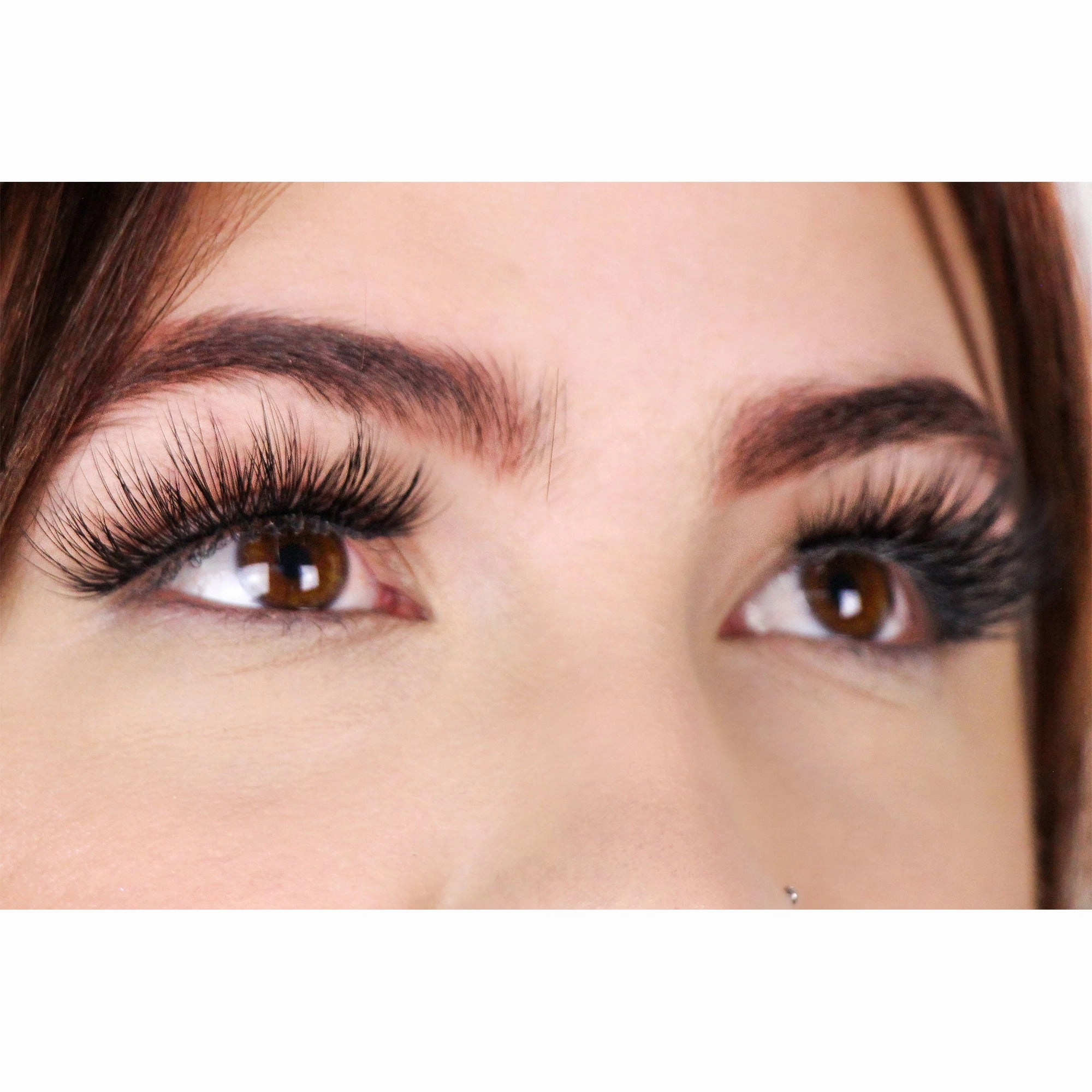 Toulouse Lashes