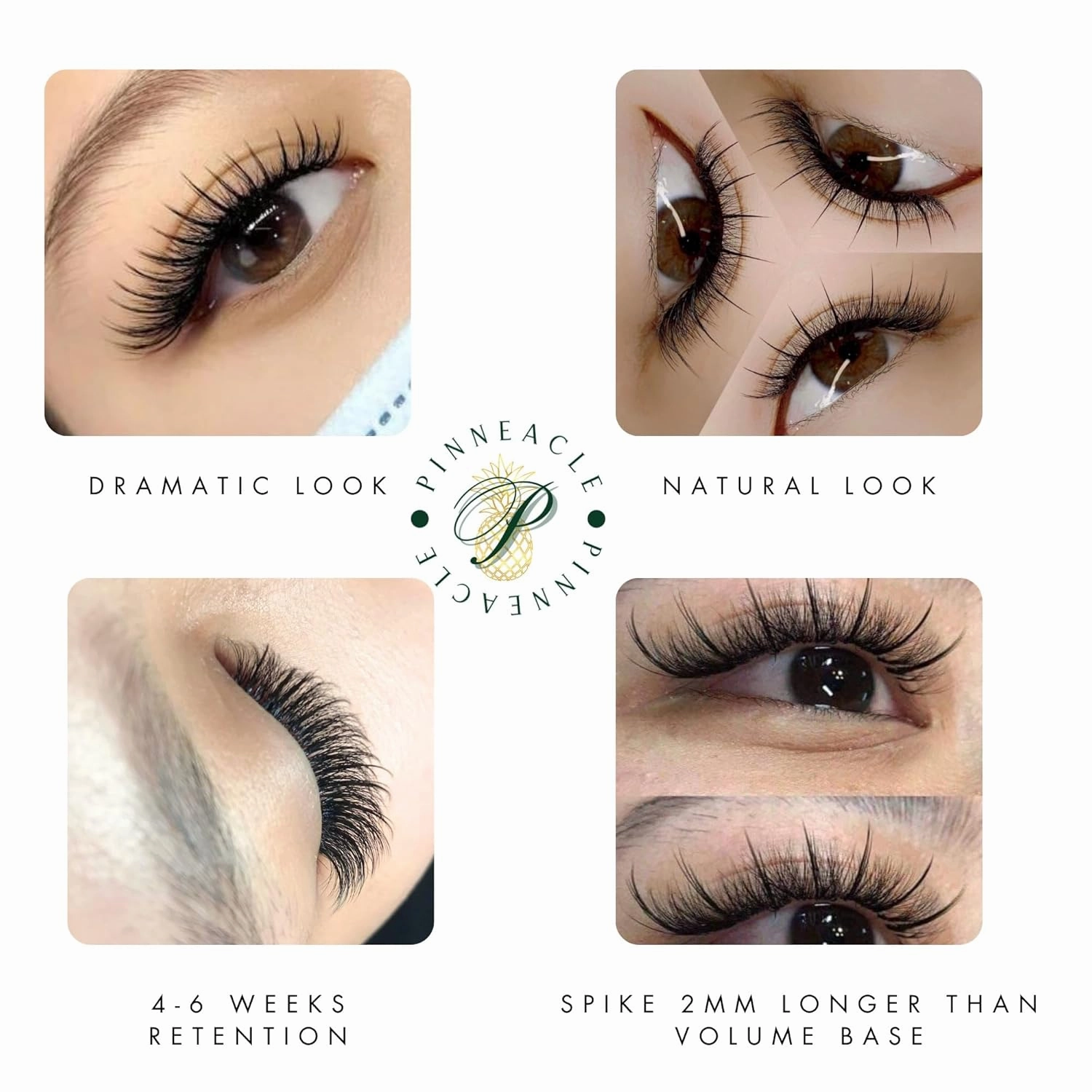 Wispy 1200 Fans - XXL Box - Promade Fans | 5D volume | 0.07 | Premade volume lash fans for professional eyelashes extensions | Pinneacle Lash Supply (Brown | C curl | 12-13-14-15-16mm)