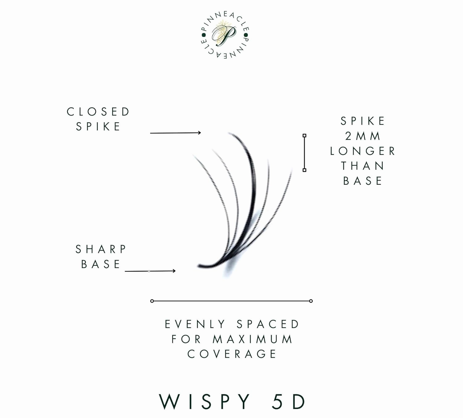 Wispy 1200 Fans - XXL Box - Promade Fans | 5D volume | 0.07 | Premade volume lash fans for professional eyelashes extensions | Pinneacle Lash Supply (Brown | C curl | 12-13-14-15-16mm)
