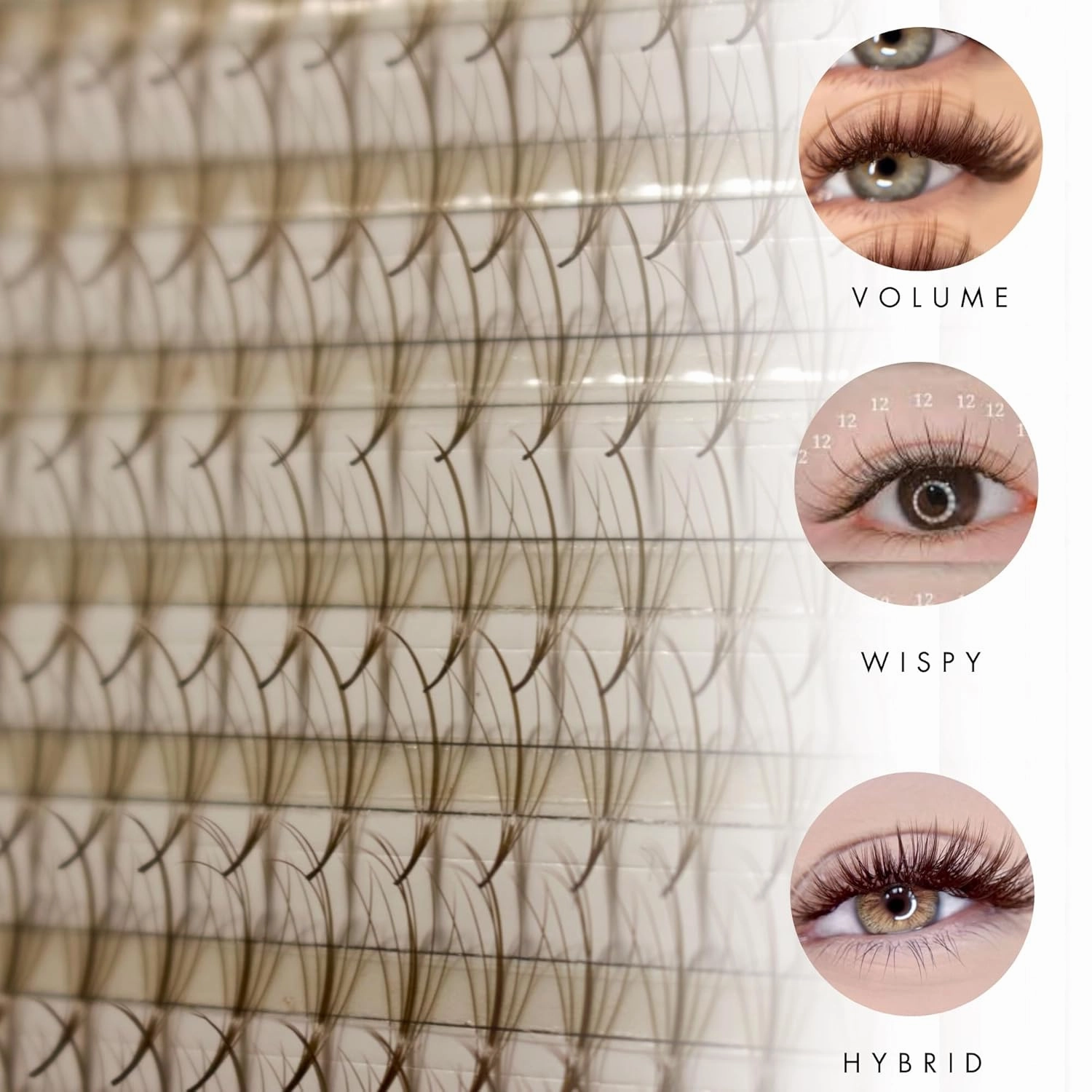Wispy 1200 Fans - XXL Box - Promade Fans | 5D volume | 0.07 | Premade volume lash fans for professional eyelashes extensions | Pinneacle Lash Supply (Brown | C curl | 12-13-14-15-16mm)