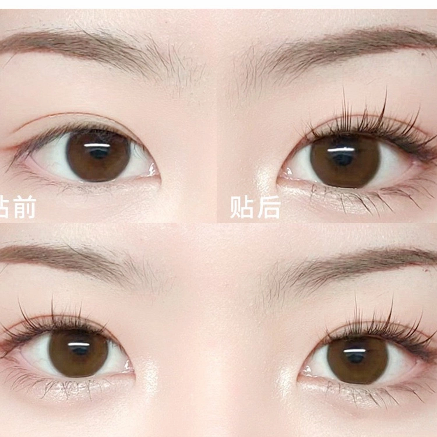 Xixi Little Devil  False Eyelashes 5 Pair - #Sunflower